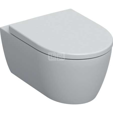 Wisząca miska WC iCon lejowa, ukryte mocowania, Rimfree, 53 cm, Biały-alpin / Matowy, zestaw z deską