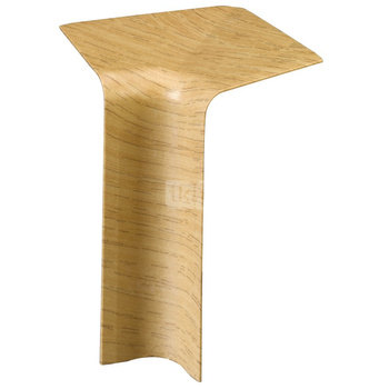 NAROZNIK WEWNETRZNY N - klon