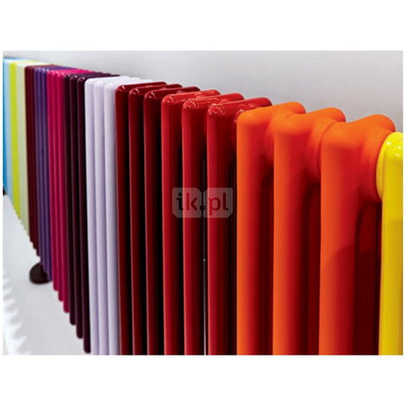 Grzejnik Zehnder Charleston 3050 - 6 elem., kolor RAL9010, złącze Code V015, zawór M30x1.5, ustawienie wstępne VE9