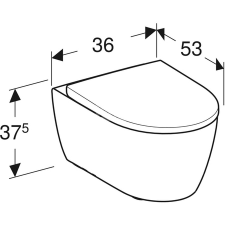 Wisząca miska WC iCon lejowa, ukryte mocowania, Rimfree, 53 cm, Biały-alpin / Matowy, zestaw z deską