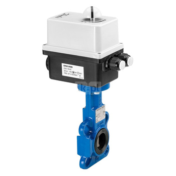 VFY-WA PN16 DN250 CI/SS/EPDM 230V