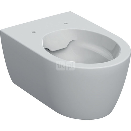 Wisząca miska WC lejowa iCon, ukryte mocowania, Rimfree, 53 cm