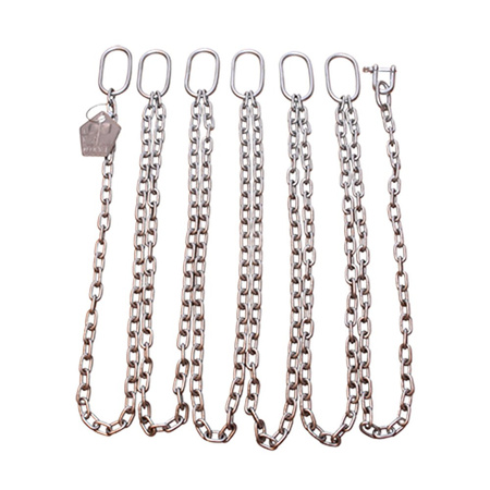 Akcesorium do pomp (ev017448), GRUNDFOS - Łańcuch manewrowy 320kg 6m ss cert.