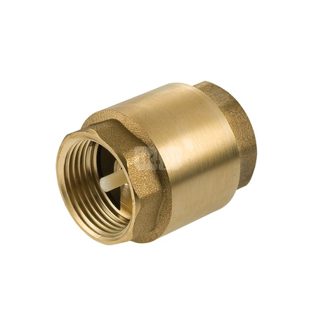 Zawór zwrotny EFAR 480 3/4'' GW