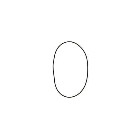 Oring FKM 221.84x3.53