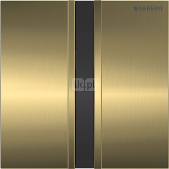 Zawór spłukujący Geberit do pisuarów, zasilanie 230V, Typ 50, chrom szczotk., mosiądz