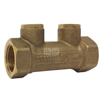 Zawór antyskażeniowy, 3/4 GW x 3/4 GW