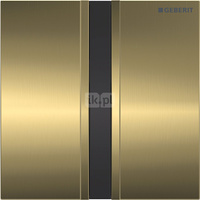 Zawór spłukujący Geberit do pisuarów, zasilanie 230V, Typ 50, chrom szczotk., mosiądz