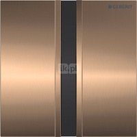 Zawór spłukujący Geberit do pisuarów, zasilanie 230V, Typ 50, chrom szczotk., czerwone złoto