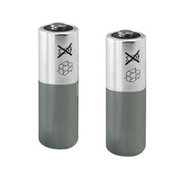 Akcesoria do elektronicznego systemu regulacji termostatycznej z serii 210 , para baterii litowych