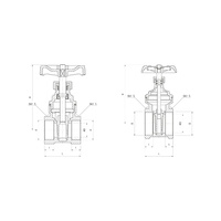 PHA-022 Zasuwa wodna 2 1/2"