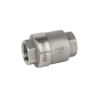 Zawór zwrotny EFAR 2416 1'' GW