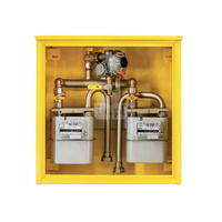 Punkt redukcyjno-pomiarowy na 2 gazomierze G4, w skrzynce metalowej 600x600x250 - popielaty