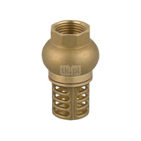 Zawór zwrotny 6/4" z mosiężnym koszem ssącym