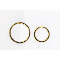 Przycisk uruchamiający Geberit Sigma21, przedni, szkło białe, pierścienie: mosiądz