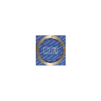 Pierścień bieżny D118/D144x10 BS