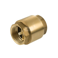 Zawór zwrotny EFAR 480 3/4'' GW