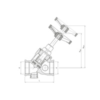 1620 Zawór skośny antyskażeniowy 1"