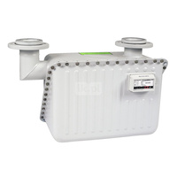 Gazomierz miechowy G 40 - z nadajnikiem impulsów, rozstaw 510mm, przyłącze górne kołnierz DN80, Itron